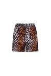 CORAL LEOPARD Tailored Shorts